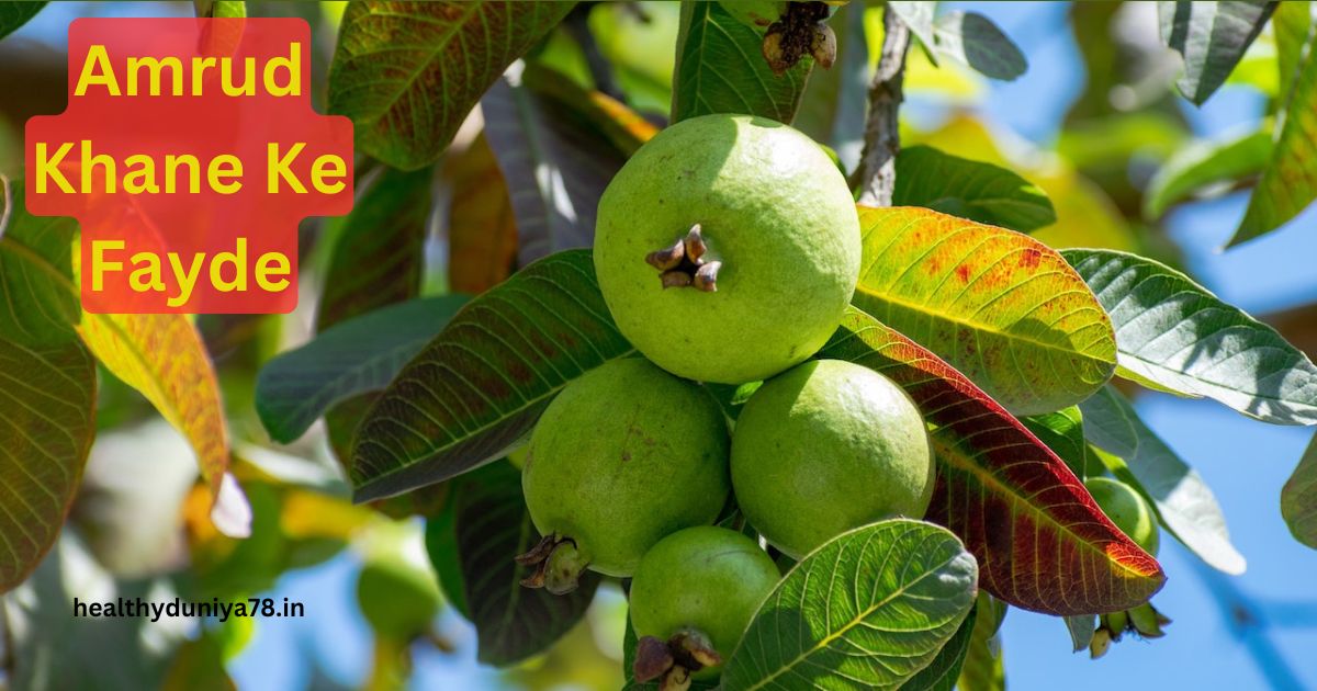Amrud Khane Ke Fayde