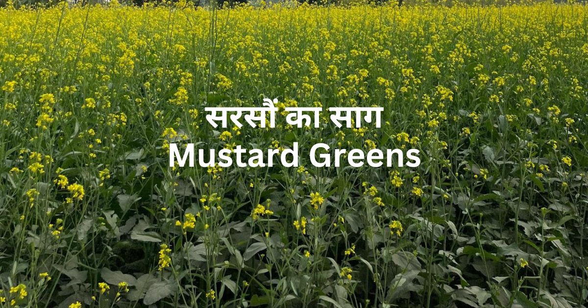 natural health tips in hindi