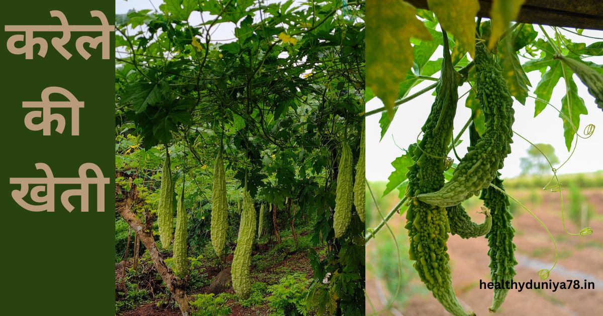 karela khane ke fayde