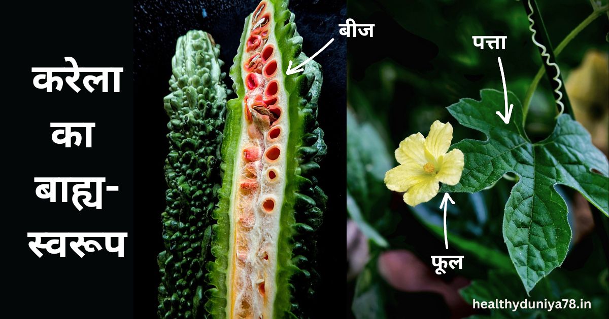 karela khane ke fayde